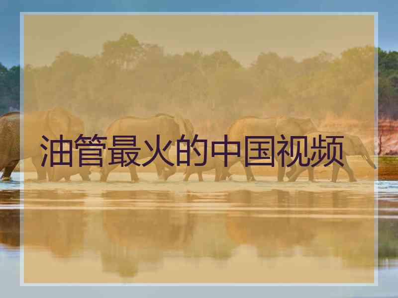 油管最火的中国视频