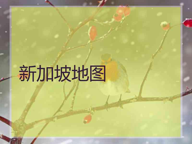 新加坡地图