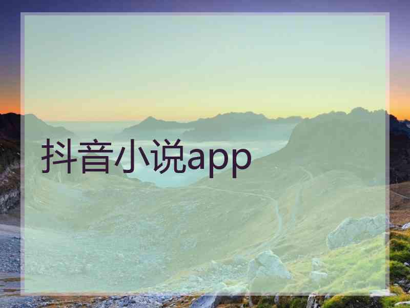 抖音小说app