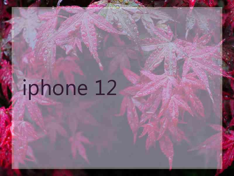 iphone 12
