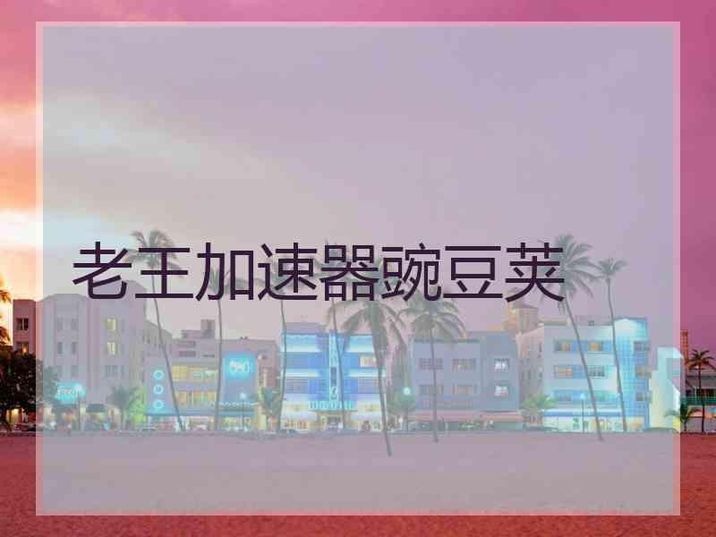 老王加速器豌豆荚