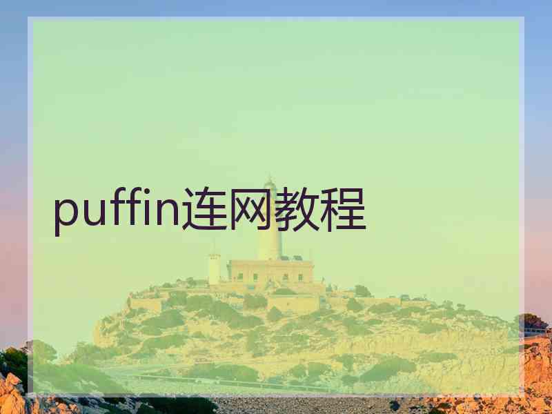 puffin连网教程