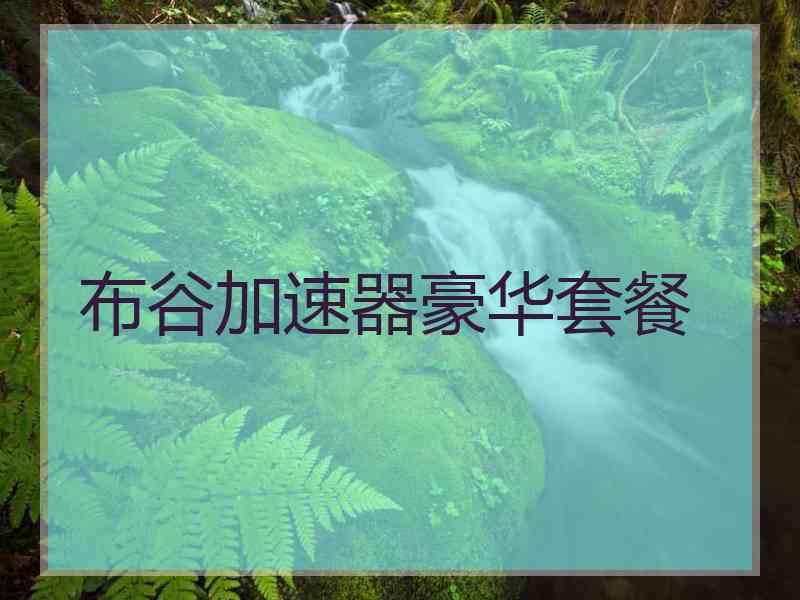 布谷加速器豪华套餐