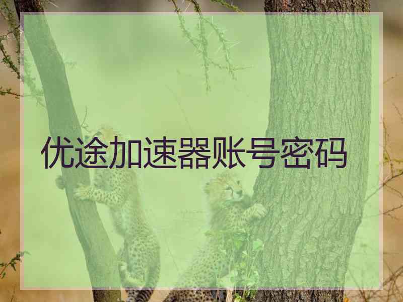 优途加速器账号密码