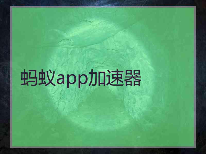 蚂蚁app加速器