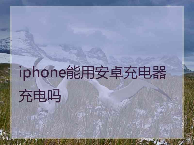 iphone能用安卓充电器充电吗
