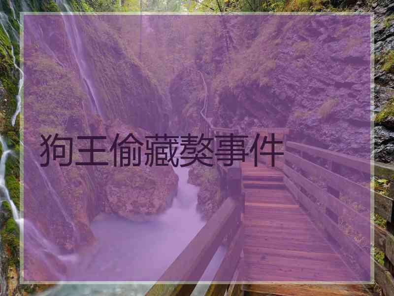 狗王偷藏獒事件