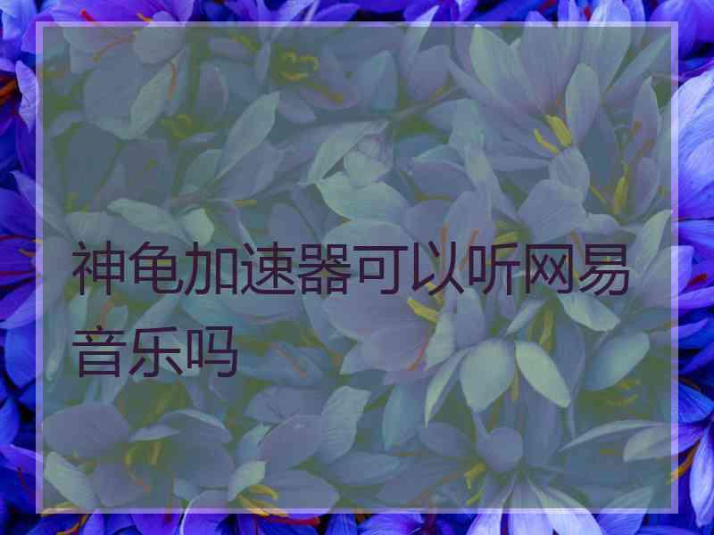 神龟加速器可以听网易音乐吗