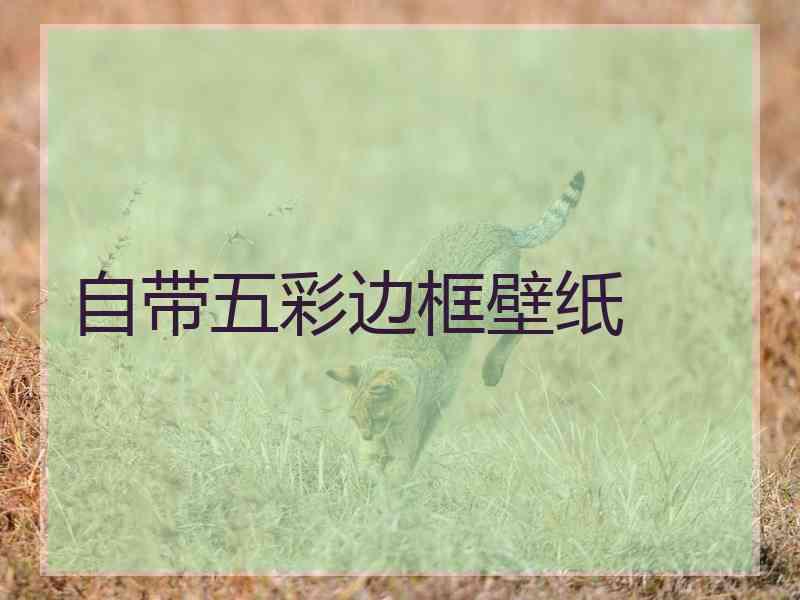 自带五彩边框壁纸