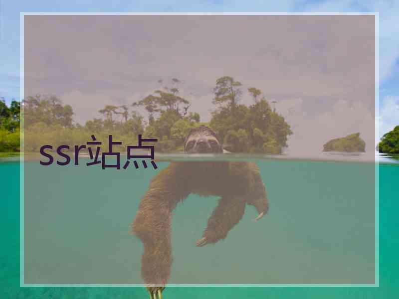 ssr站点