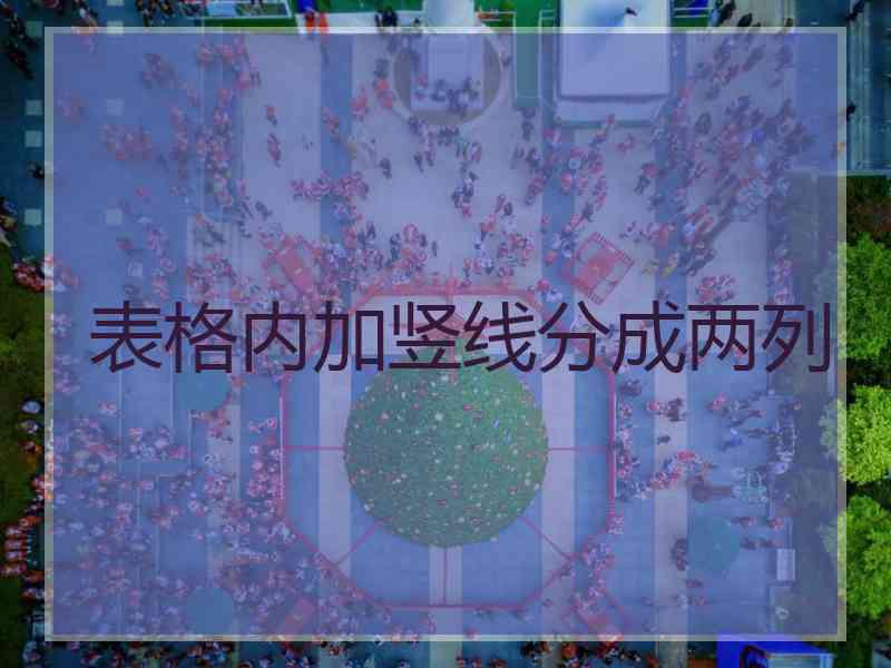 表格内加竖线分成两列