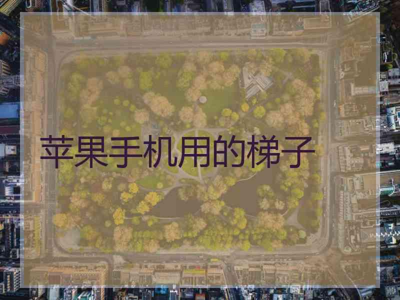 苹果手机用的梯子