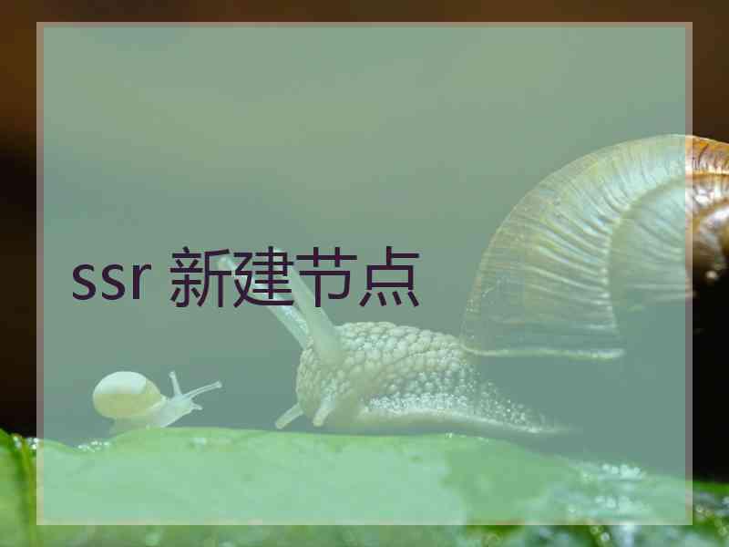 ssr 新建节点