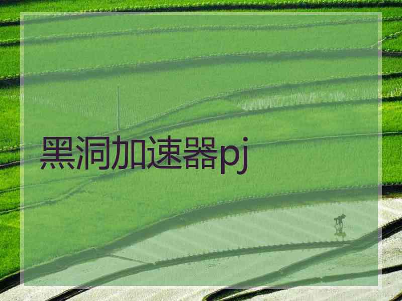 黑洞加速器pj