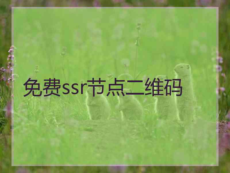 免费ssr节点二维码