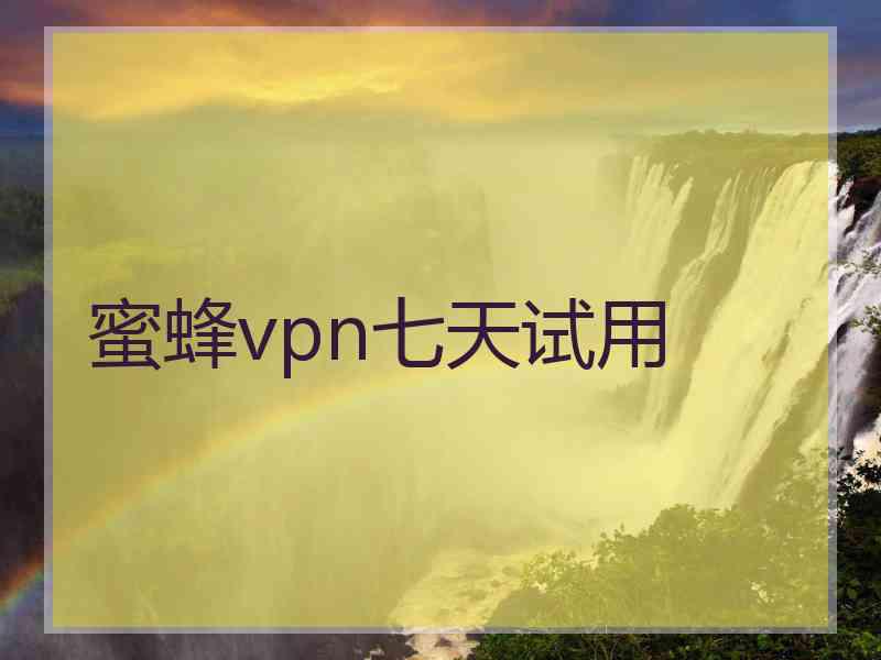 蜜蜂vpn七天试用