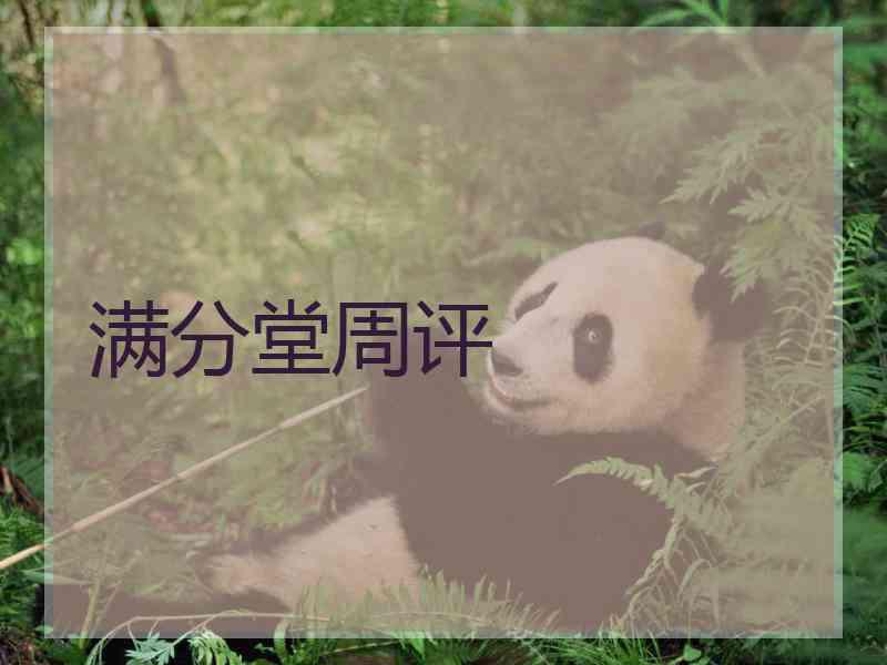 满分堂周评