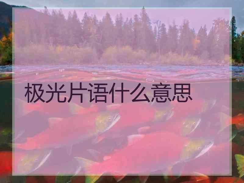 极光片语什么意思
