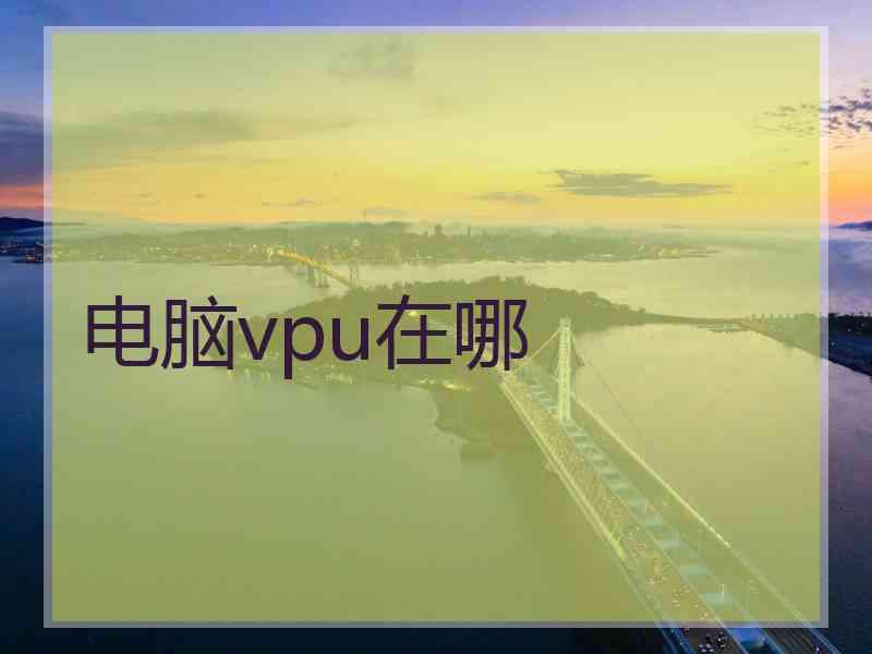 电脑vpu在哪