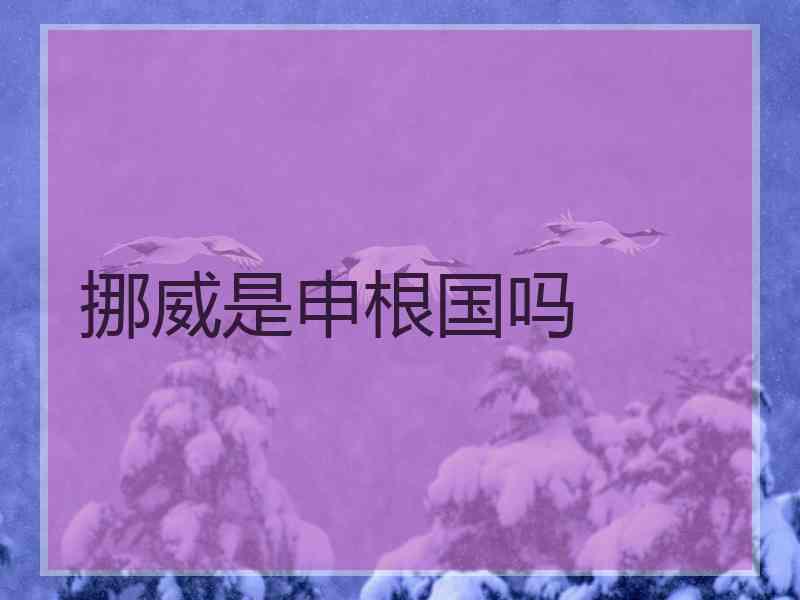 挪威是申根国吗