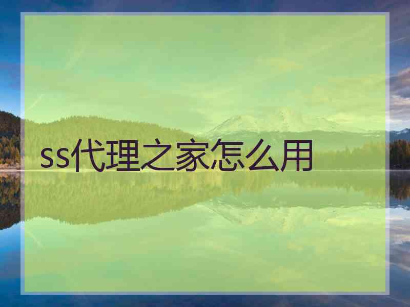 ss代理之家怎么用