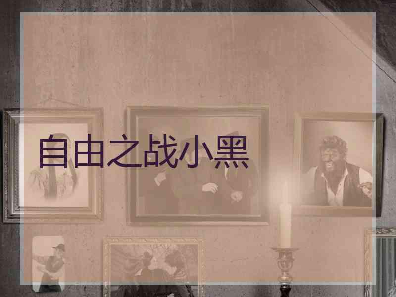 自由之战小黑