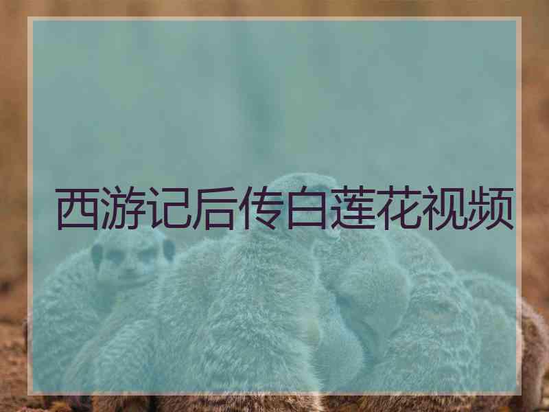 西游记后传白莲花视频