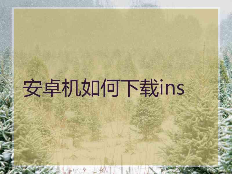 安卓机如何下载ins