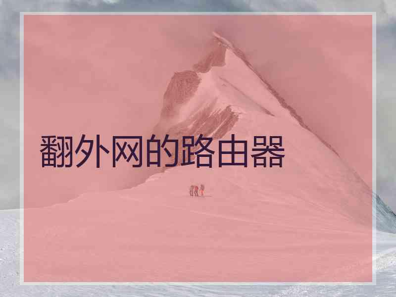 翻外网的路由器