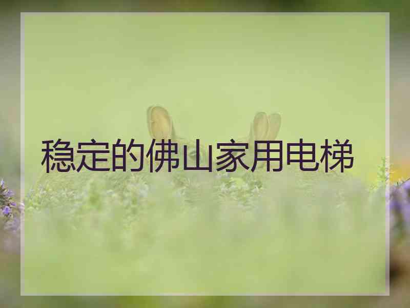 稳定的佛山家用电梯
