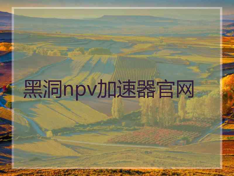 黑洞npv加速器官网