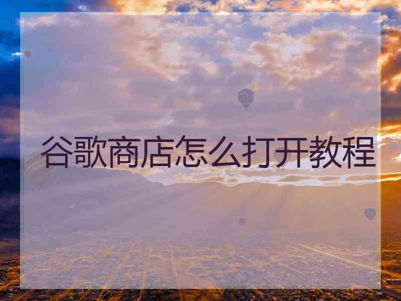 谷歌商店怎么打开教程