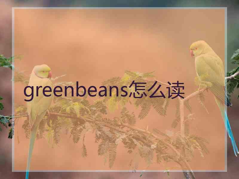 greenbeans怎么读