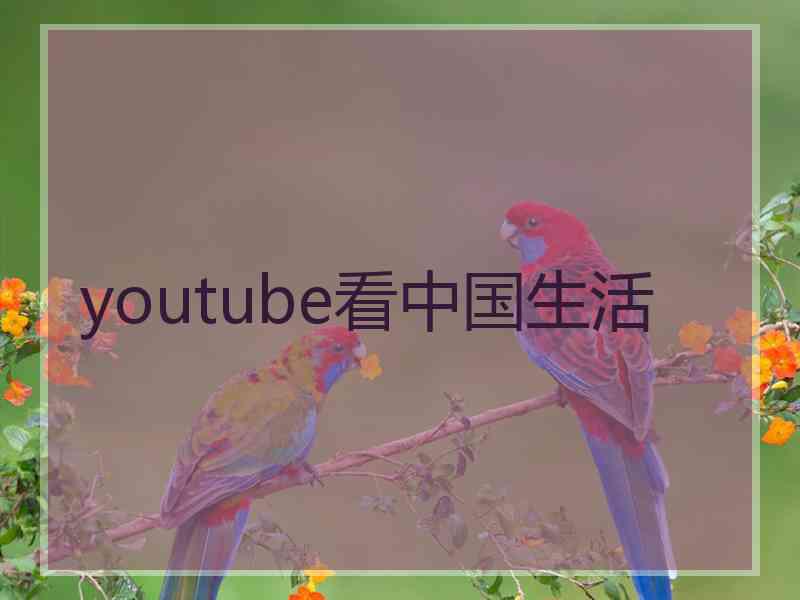 youtube看中国生活