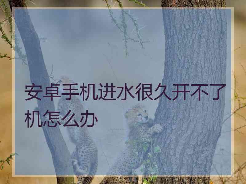 安卓手机进水很久开不了机怎么办