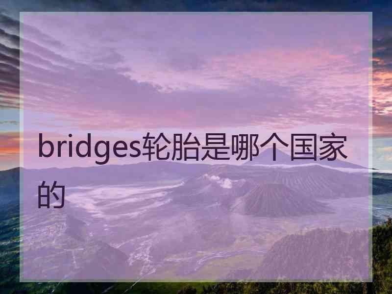bridges轮胎是哪个国家的