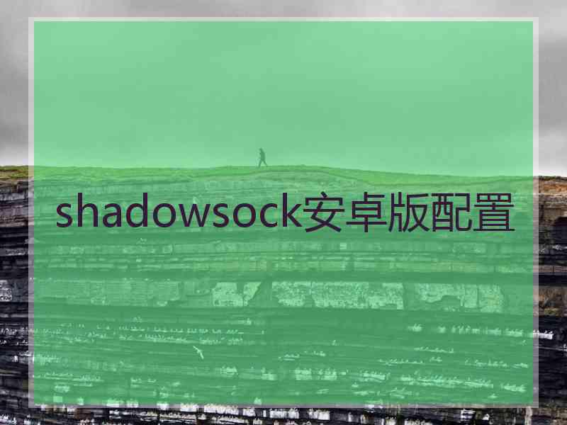shadowsock安卓版配置