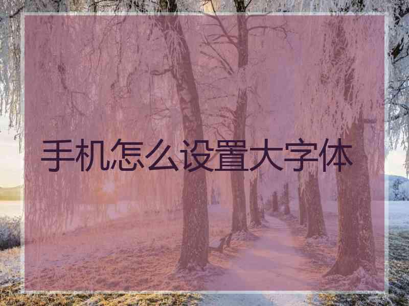 手机怎么设置大字体