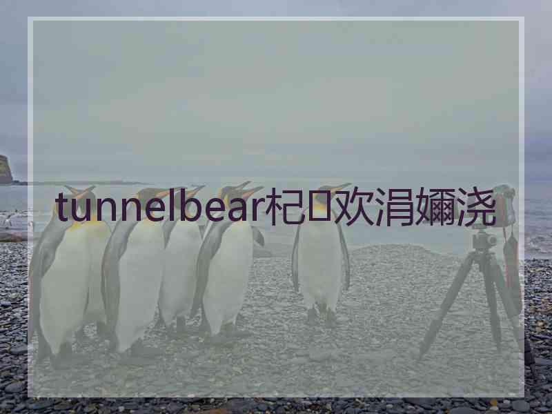 tunnelbear杞欢涓嬭浇