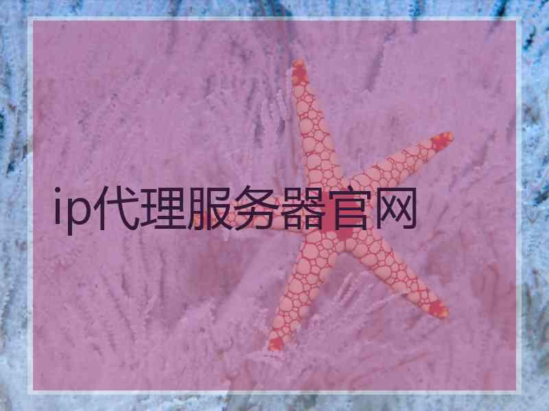 ip代理服务器官网