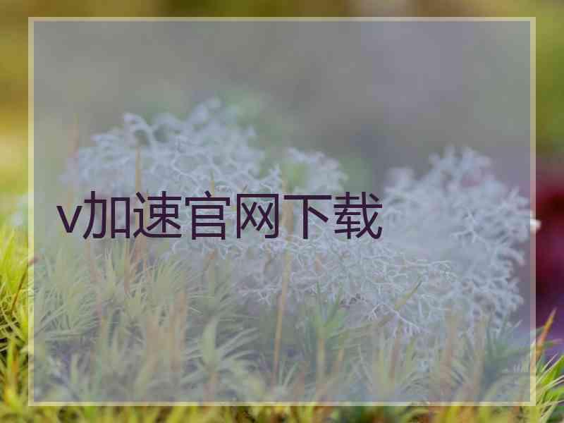 v加速官网下载