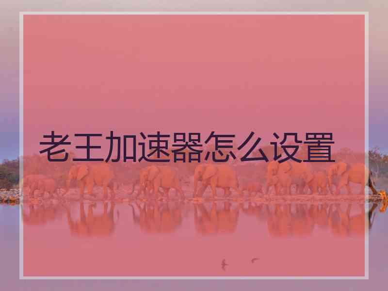 老王加速器怎么设置