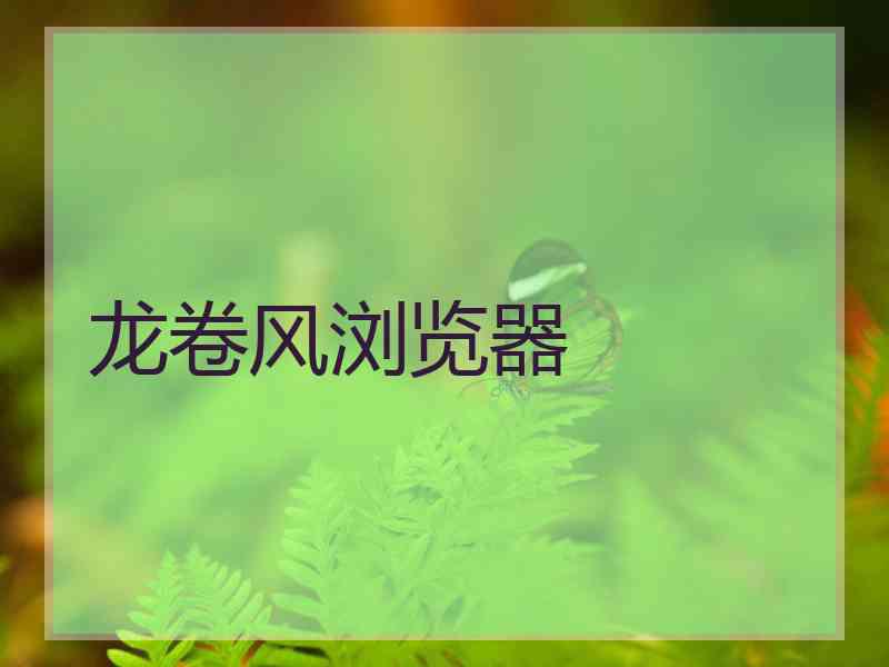 龙卷风浏览器