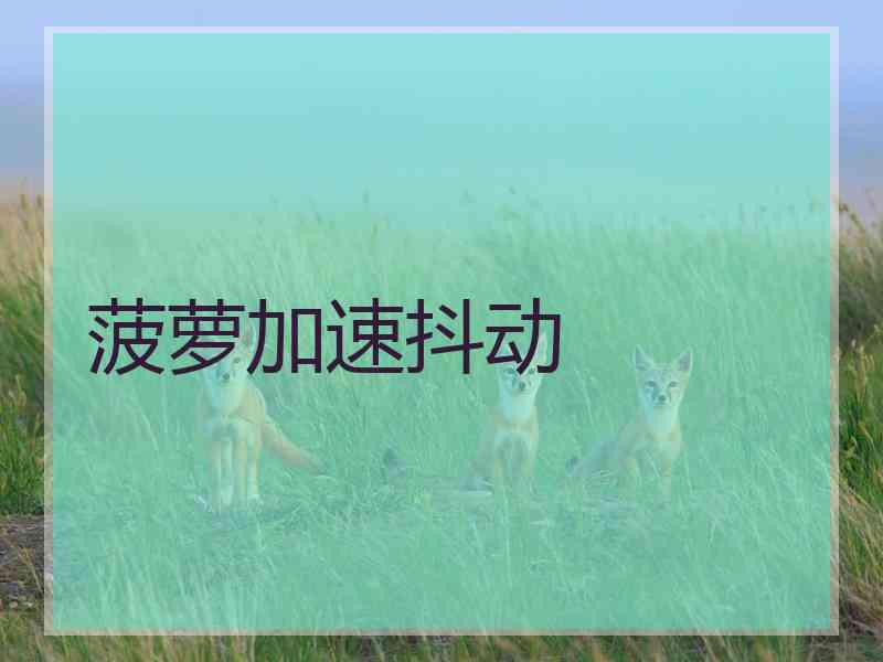 菠萝加速抖动
