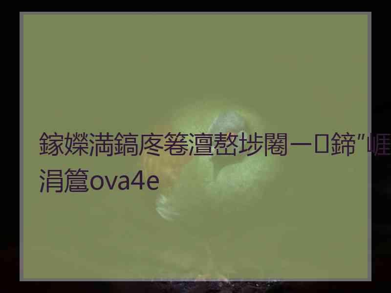 鎵嬫満鎬庝箞澶嶅埗闂ㄧ鍗″崕涓簄ova4e
