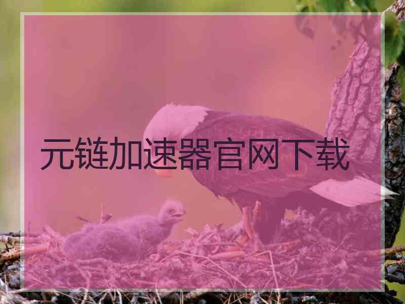 元链加速器官网下载