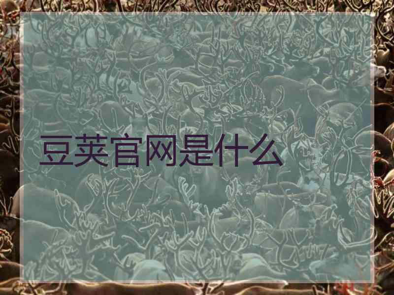 豆荚官网是什么