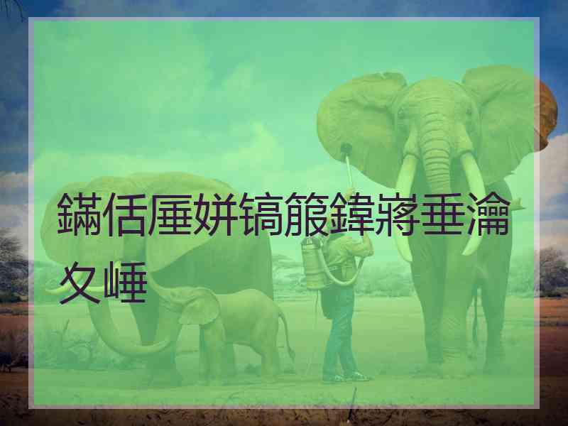 鏋佸厜姘镐箙鍏嶈垂瀹夊崜