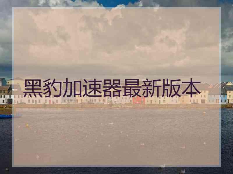 黑豹加速器最新版本
