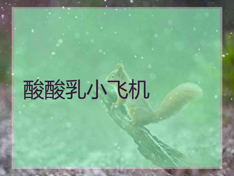 酸酸乳小飞机